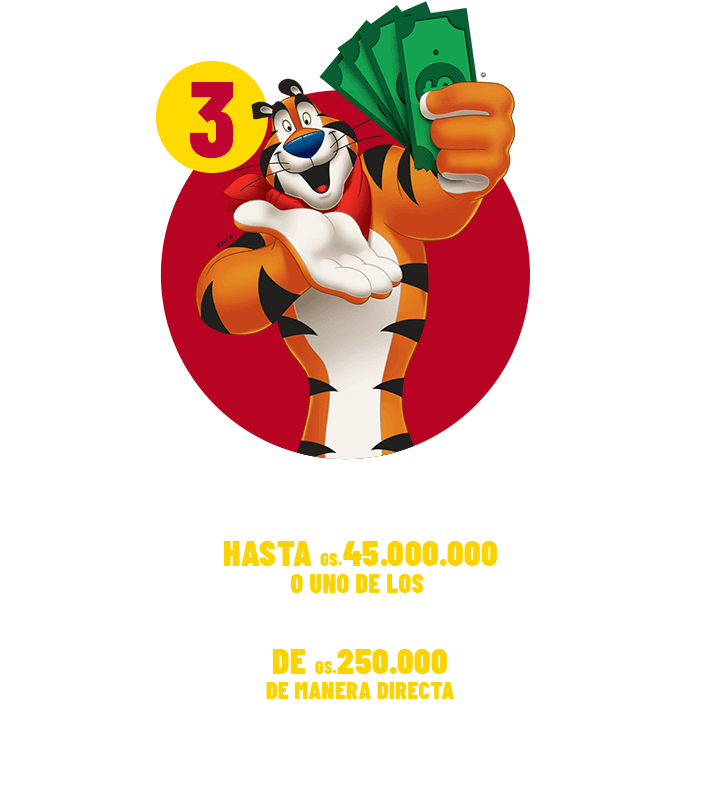 Paso 3